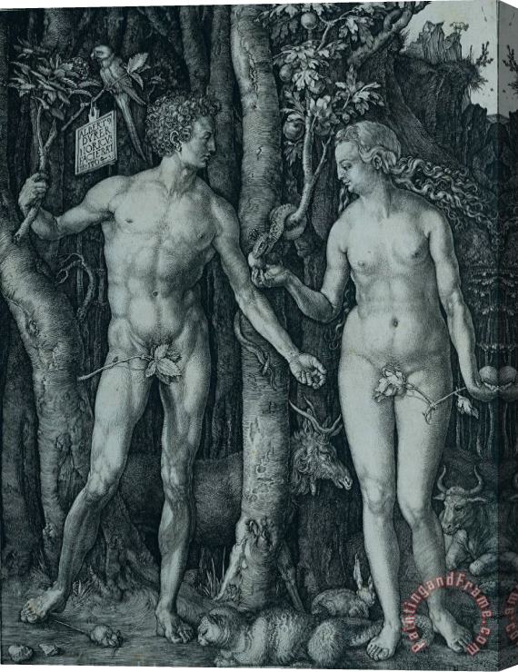 Albrecht Durer The Fall Stretched Canvas Print / Canvas Art
