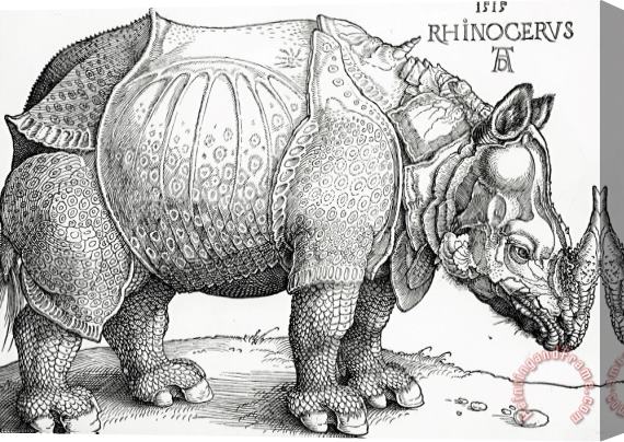 Albrecht Durer The Rhinoceros Stretched Canvas Painting / Canvas Art