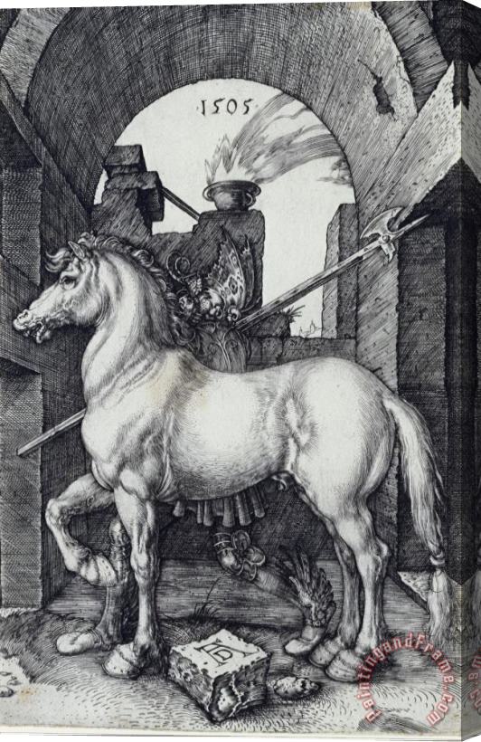 Albrecht Durer The Small Horse Stretched Canvas Print / Canvas Art