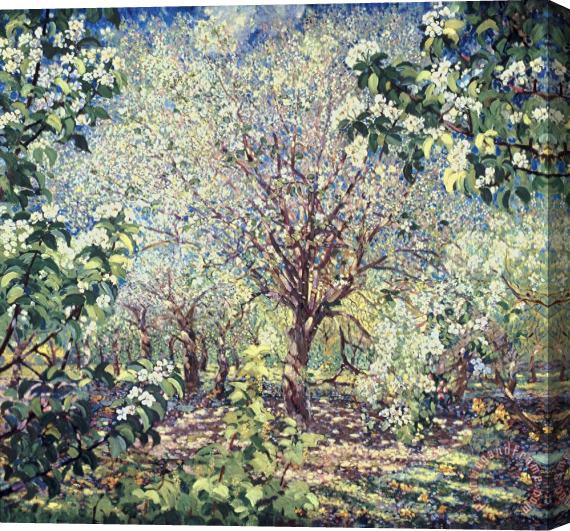 Aleksandr Gerasimov Trees in Bloom Stretched Canvas Painting / Canvas Art