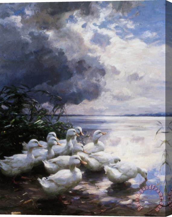 Alexander Koester Ducks at The Lakes Edge Stretched Canvas Print / Canvas Art
