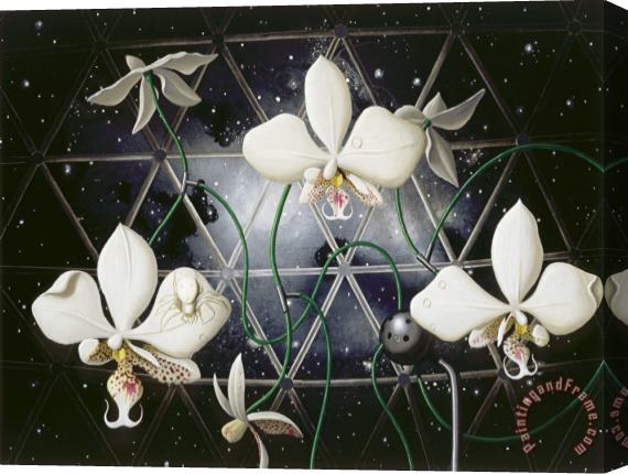 Alexis Rockman Biosphere: Orchids Stretched Canvas Print / Canvas Art