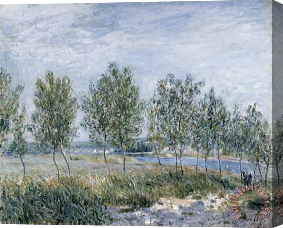 Alfred Sisley Poplars on a River Bank Stretched Canvas Print / Canvas Art