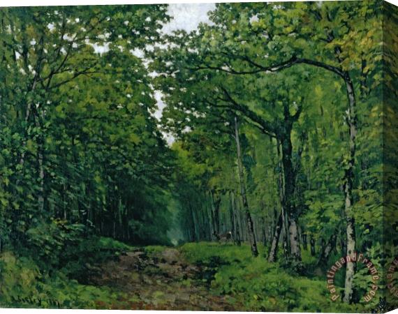 Alfred Sisley The Avenue of Chestnut Trees Stretched Canvas Painting / Canvas Art
