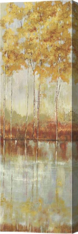 Allison Pearce Reflections I Stretched Canvas Painting / Canvas Art