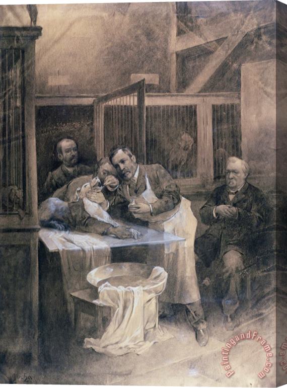 Alphonse Marie Mucha Louis Pasteur Stretched Canvas Print / Canvas Art