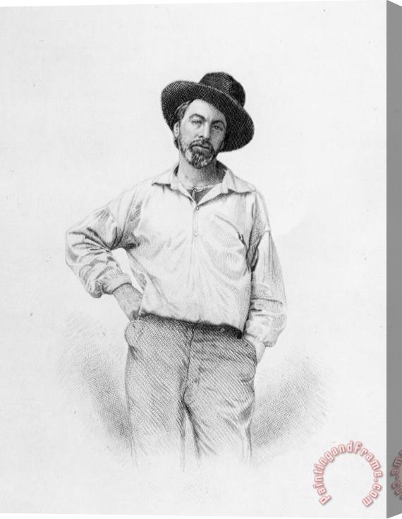 American School Walt Whitman Frontispiece To Leaves Of Grass Stretched Canvas Painting / Canvas Art