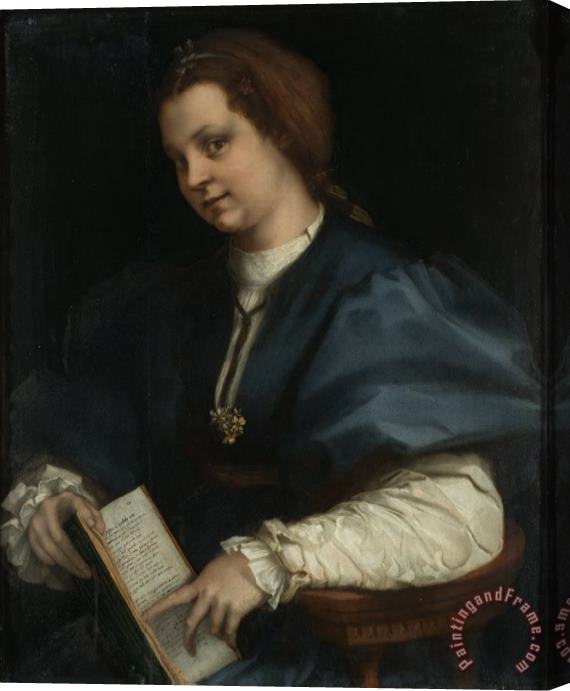 Andrea del Sarto Lady with a Book of Petrarch's Rhyme Stretched Canvas Painting / Canvas Art