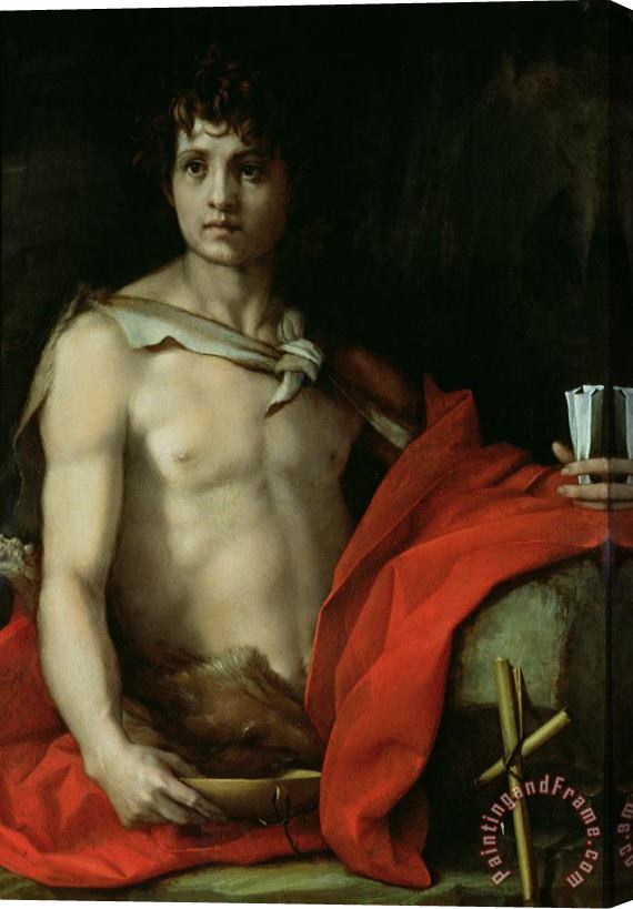 Andrea del Sarto Saint John the Baptist Stretched Canvas Painting / Canvas Art