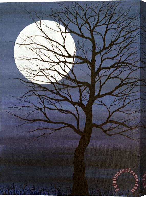 Andrea Youngman I've Touched the Moon Stretched Canvas Print / Canvas Art