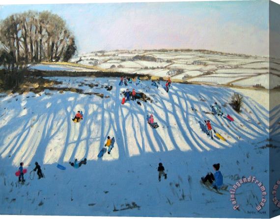 Andrew Macara Fields of Shadows Stretched Canvas Print / Canvas Art