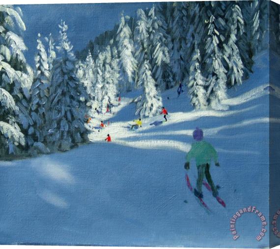 Andrew Macara Fresh Snow Stretched Canvas Print / Canvas Art