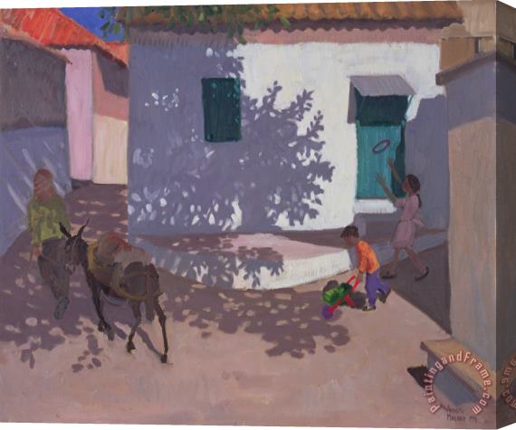 Andrew Macara Green Door and Shadows Lesbos Stretched Canvas Print / Canvas Art