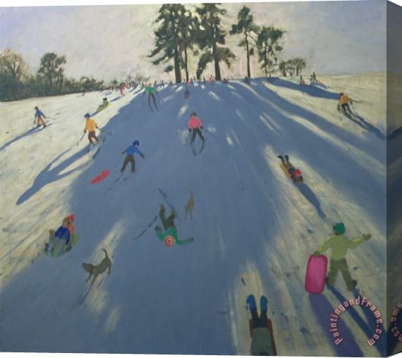 Andrew Macara Skiing Stretched Canvas Print / Canvas Art