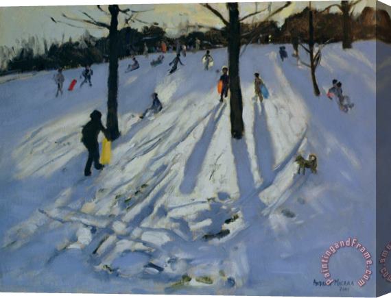 Andrew Macara Snow Rykneld Park Derby Stretched Canvas Print / Canvas Art
