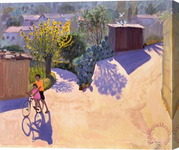 Andrew Macara Spring in Cyprus Stretched Canvas Painting / Canvas Art