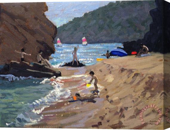 Andrew Macara Summer in Spain Stretched Canvas Print / Canvas Art
