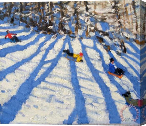 Andrew Macara Tree shadows Morzine Stretched Canvas Print / Canvas Art