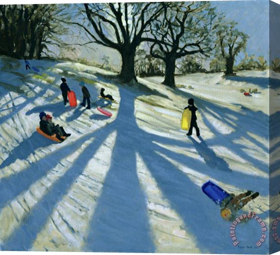 Andrew Macara Winter Tree Stretched Canvas Print / Canvas Art