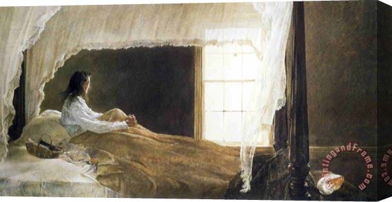 andrew wyeth Chambered Nautilus Stretched Canvas Print / Canvas Art