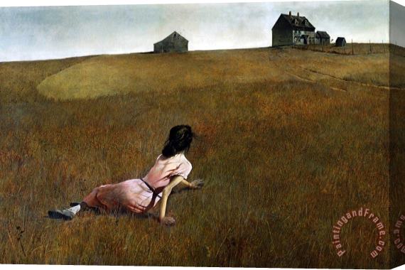 andrew wyeth Christina's World Stretched Canvas Painting / Canvas Art
