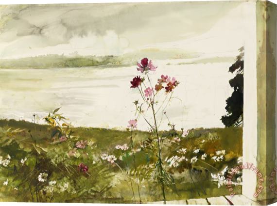 andrew wyeth Cosmos 2005 Stretched Canvas Print / Canvas Art