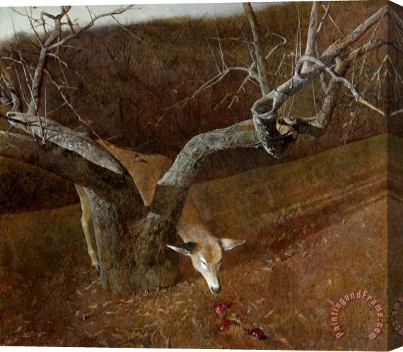 andrew wyeth Jacklight 1980 Stretched Canvas Print / Canvas Art