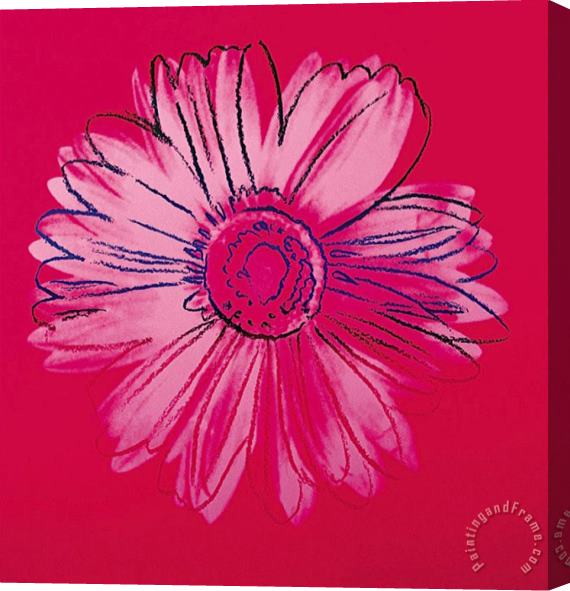 Andy Warhol Daisy C 1982 Crimson And Pink Stretched Canvas Painting / Canvas Art