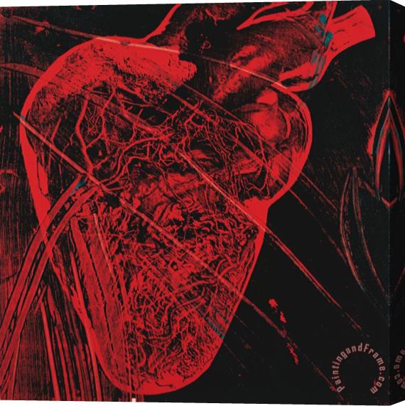 Andy Warhol Human Heart C 1979 Red with Veins Stretched Canvas Print / Canvas Art