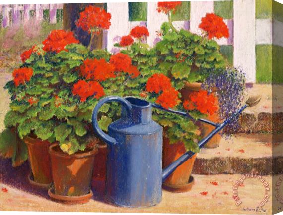 Anthony Rule The blue watering can Stretched Canvas Print / Canvas Art