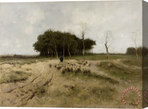 Anton Mauve On The Heath Near Laren Stretched Canvas Painting / Canvas Art