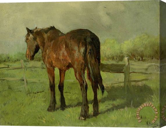 Anton Mauve Paard Stretched Canvas Painting / Canvas Art