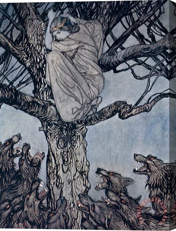 Arthur Rackham She Looked With Angry Woe At The Straining And Snarling Horde Below Illustration From Irish Fairy Stretched Canvas Painting / Canvas Art