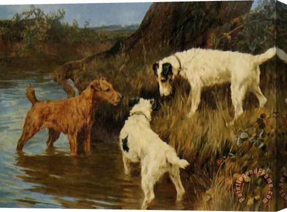 Arthur Wardle Three Terriers on The Scent Stretched Canvas Painting / Canvas Art