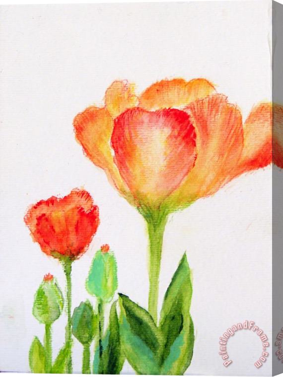 Ashleigh Dyan Moore Tulips Orange and Red Stretched Canvas Print / Canvas Art