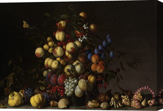 Balthasar Van Der Ast Various Fruit in a Vase with Insects And a Lizard Stretched Canvas Print / Canvas Art