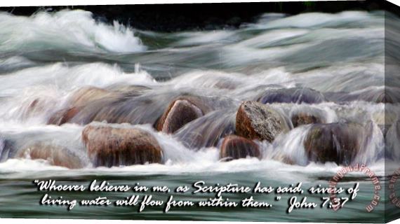 Blair Wainman Living Waters Stretched Canvas Print / Canvas Art