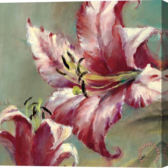 brent heighton Blooming Lily Stretched Canvas Print / Canvas Art