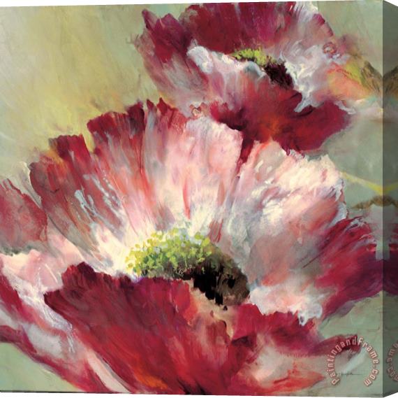 brent heighton Lush Poppy Stretched Canvas Painting / Canvas Art