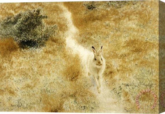 Bruno Liljefors A Winter Hare in a Landscape Stretched Canvas Painting / Canvas Art