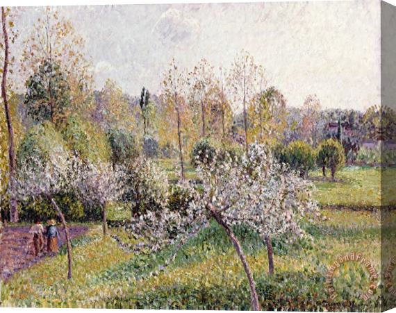 Camille Pissarro Apple Trees in Blossom, Eragny Stretched Canvas Painting / Canvas Art