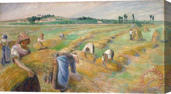 Camille Pissarro The Harvest Stretched Canvas Print / Canvas Art