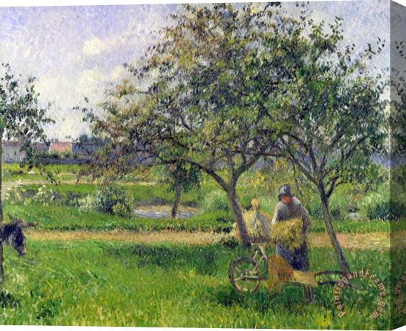 Camille Pissarro The Wheelbarrow, Orchard Stretched Canvas Print / Canvas Art
