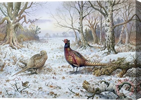 Carl Donner Pair of Pheasants with a Wren Stretched Canvas Painting / Canvas Art