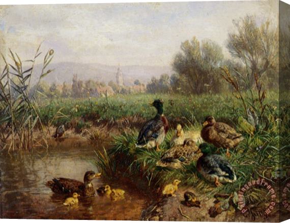 Carl Jutz Ducks by a Pond Stretched Canvas Painting / Canvas Art