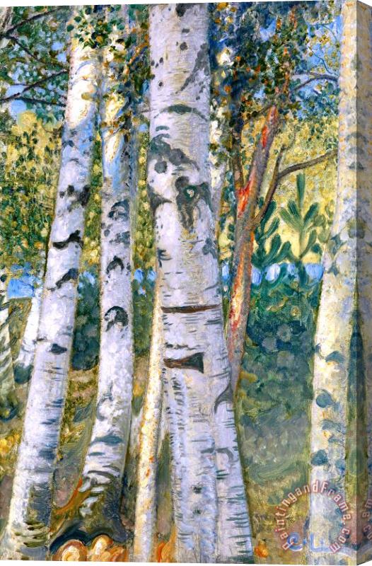Carl Larsson Birch Trees Stretched Canvas Painting / Canvas Art