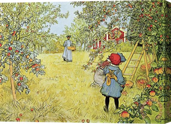 Carl Larsson The Apple Harvest Stretched Canvas Painting / Canvas Art