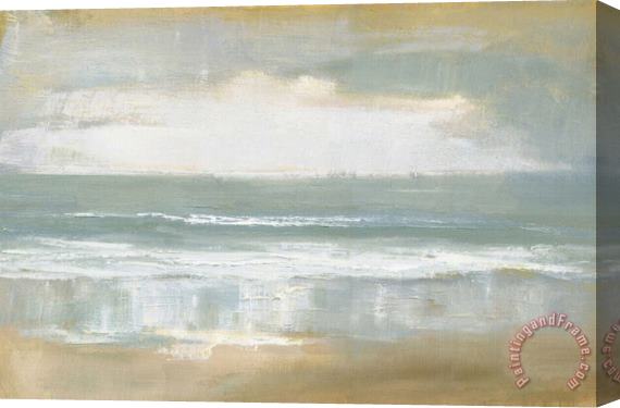 Caroline Gold Shoreline Stretched Canvas Painting / Canvas Art