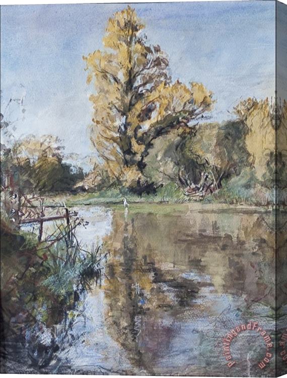 Caroline Hervey-Bathurst Early Autumn On The River Test Stretched Canvas Print / Canvas Art