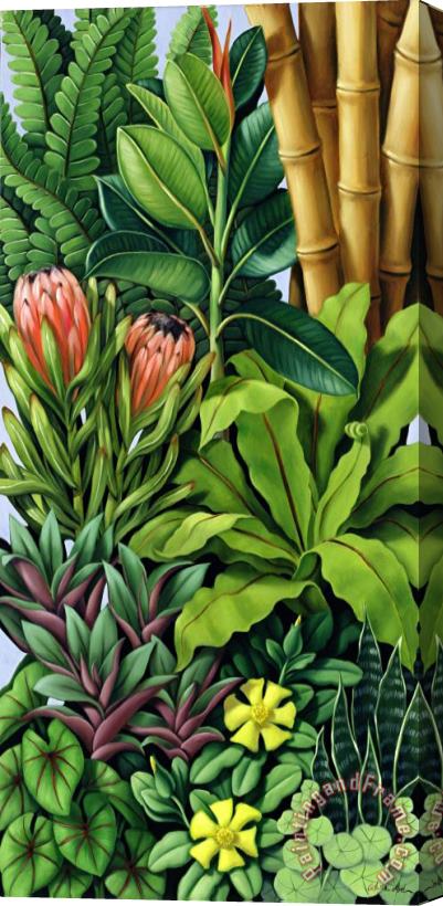 Catherine Abel Foliage III Stretched Canvas Print / Canvas Art